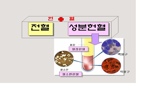 헌혈엔 전혈과 성분헌혈이 있다. 